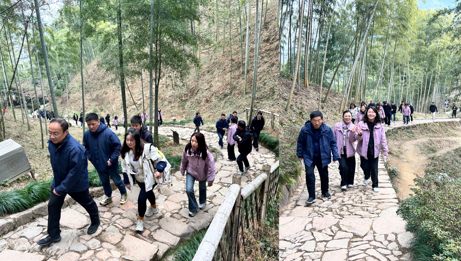 1770857101314754.jpg 1770857101314754.jpg